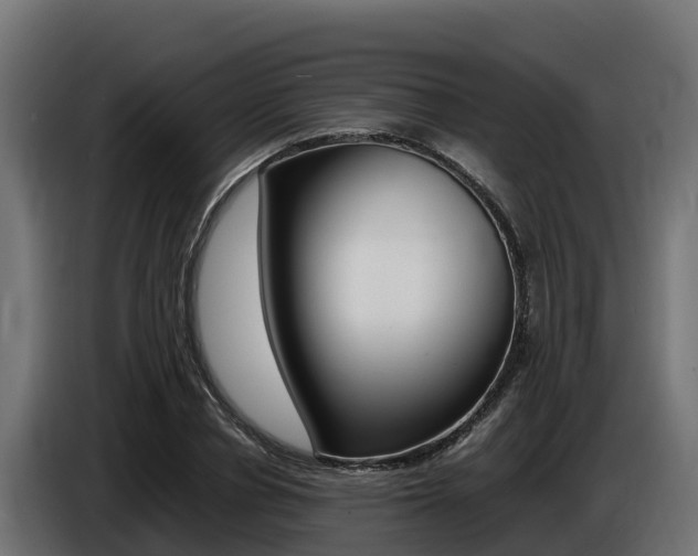 X0000086770834200704130834