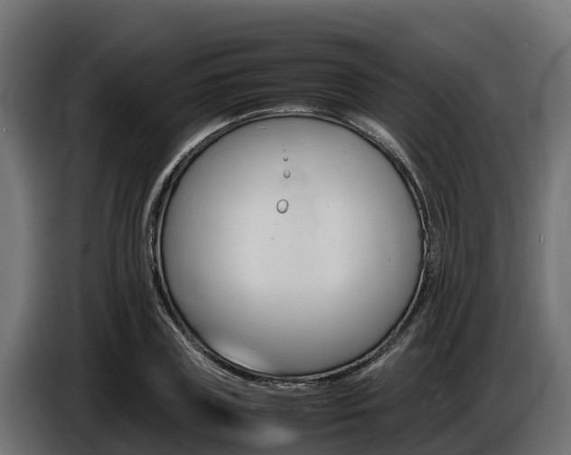 X0000086770835200704130834