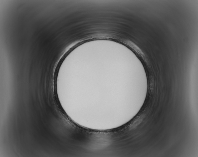 X0000086770836200704130834