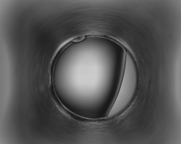 X0000086770838200704130834