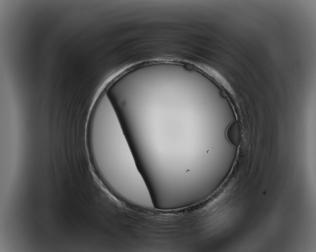 X0000086770839200704130834