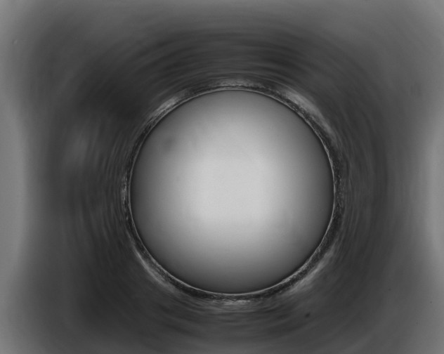 X0000086770841200704130834