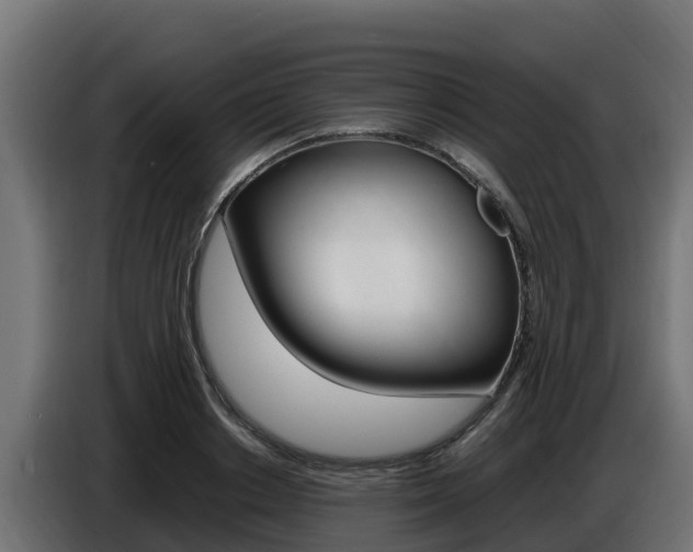 X0000086770842200704130834
