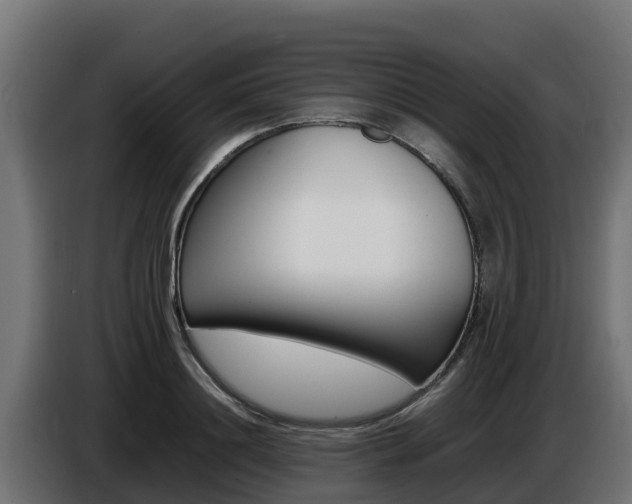 X0000086770844200704130834