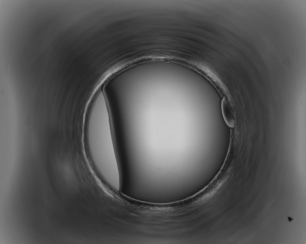 X0000086770845200704130834