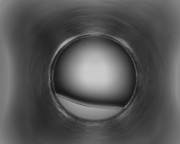 X0000086770846200704130834