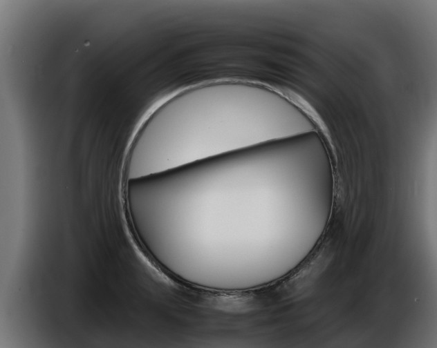 X0000086770847200704130834