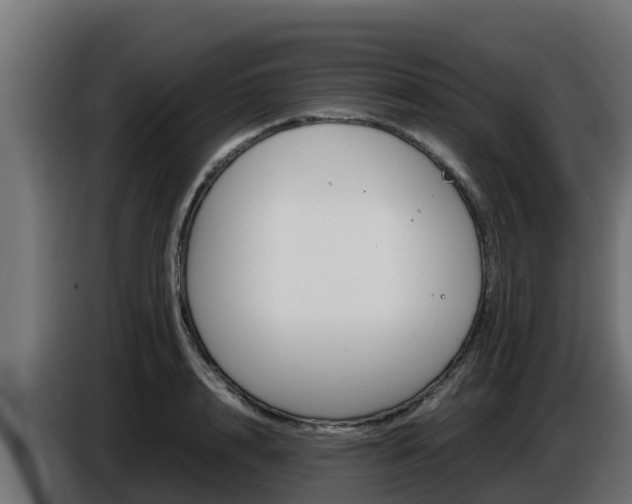 X0000086770848200704130834