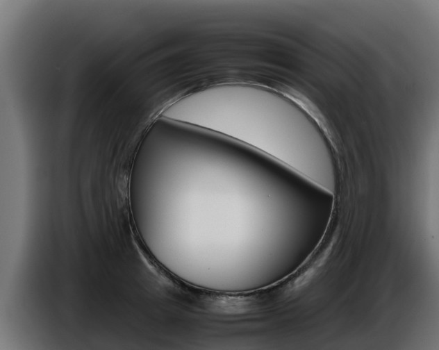 X0000086770849200704130835