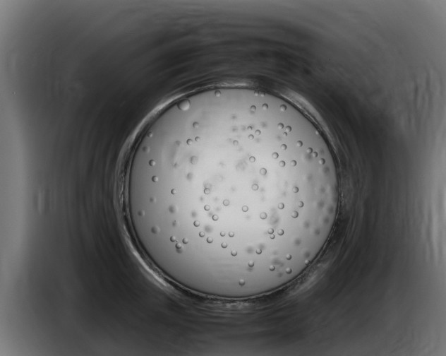 X0000086770851200704130835