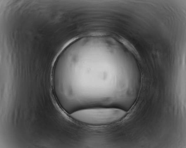 X0000086770852200704130835