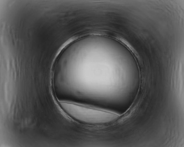 X0000086770853200704130835