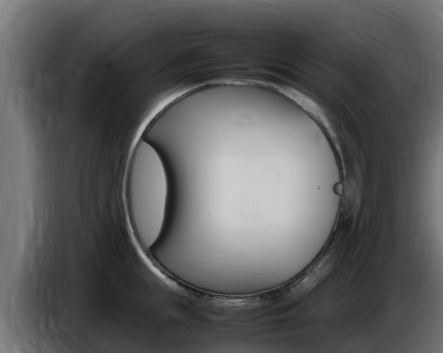 X0000086770855200704130835
