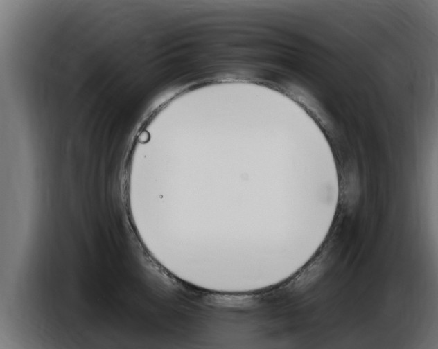 X0000086770856200704130835