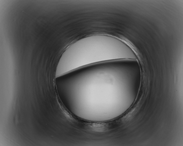 X0000086770857200704130835