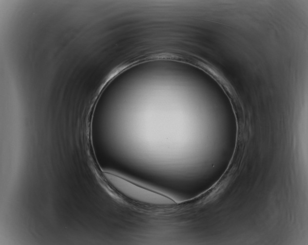 X0000086770858200704130835