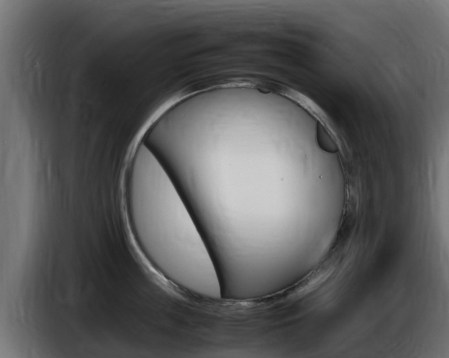 X0000086770859200704130835