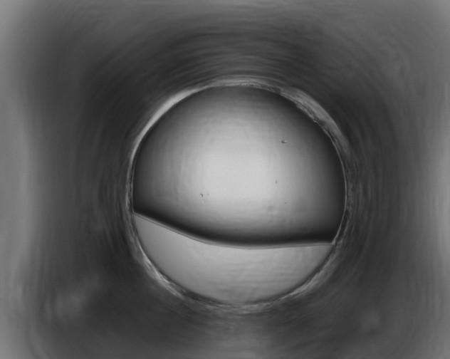 X0000086770860200704130835
