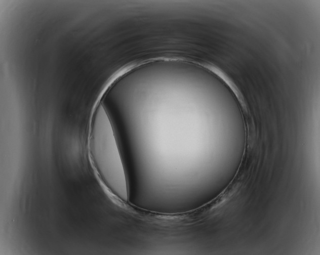 X0000086770861200704130835