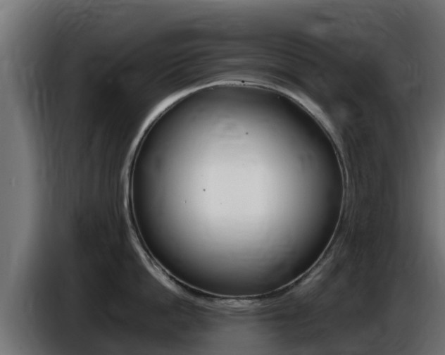 X0000086770862200704130835