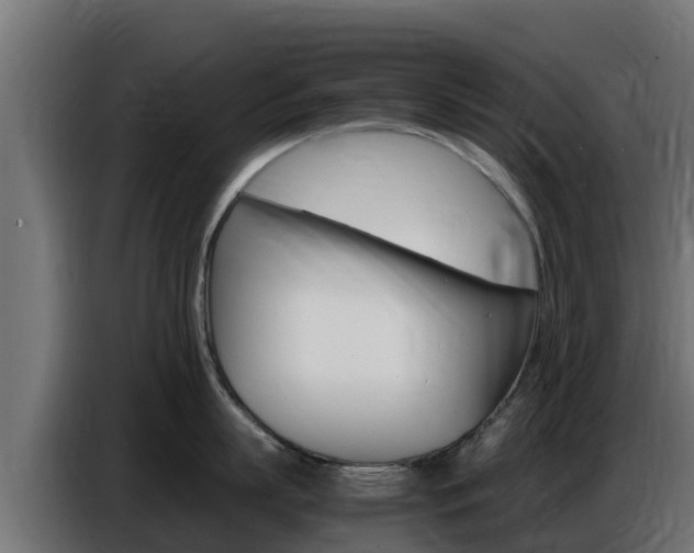 X0000086770863200704130835