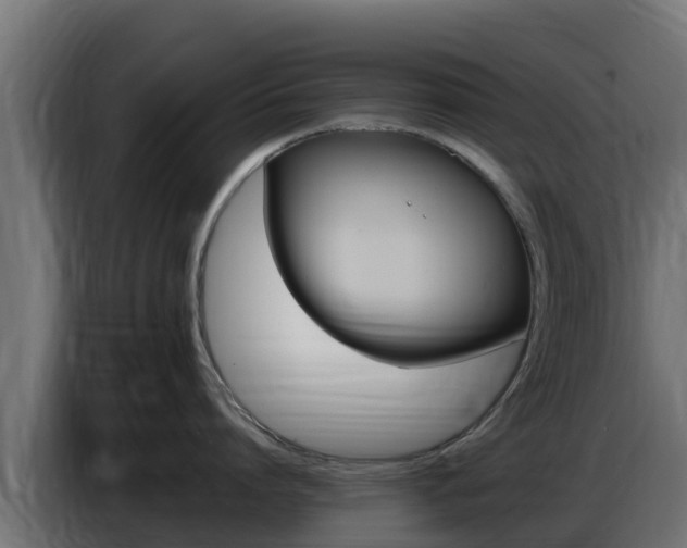 X0000086770864200704130835