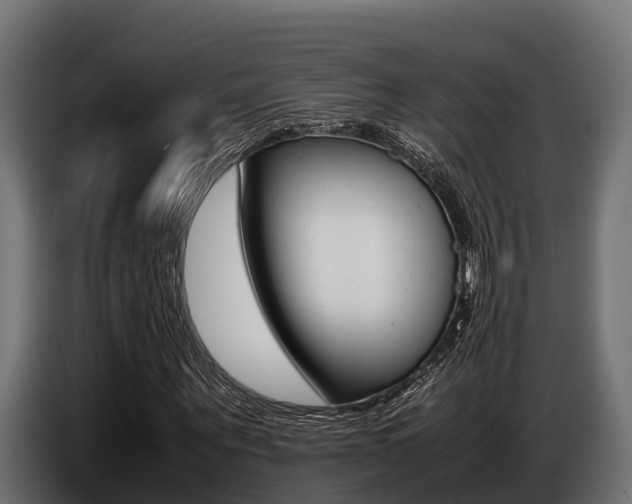 X0000086770867200704130834