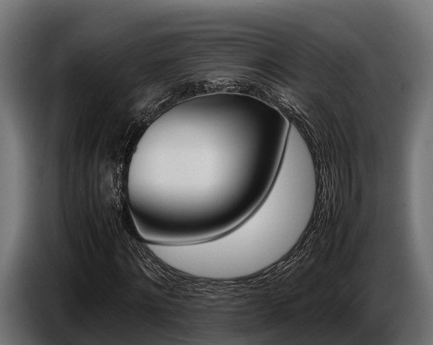 X0000086770868200704130834