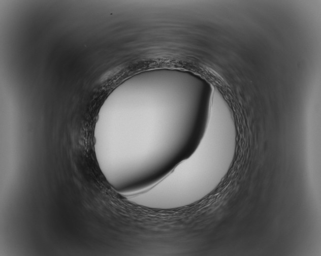 X0000086770869200704130834