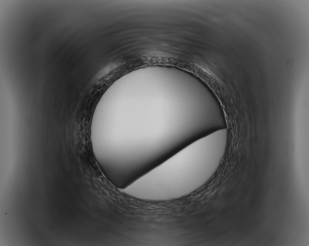 X0000086770870200704130834