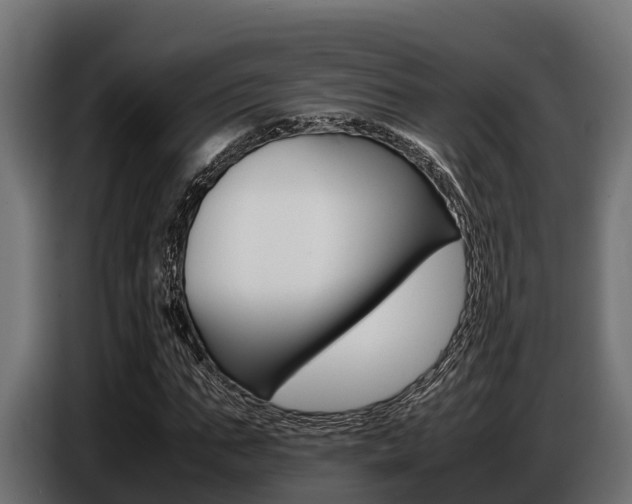 X0000086770871200704130834