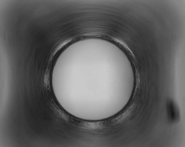 X0000086770874200704130834
