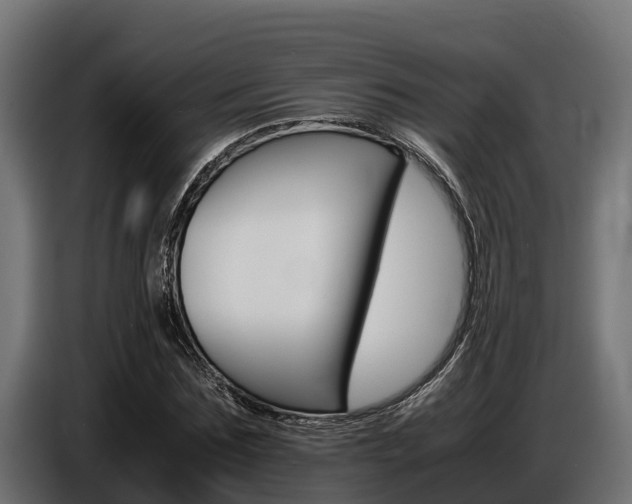 X0000086770875200704130834
