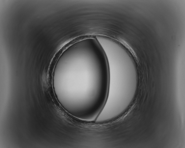 X0000086770876200704130834