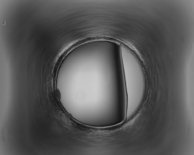 X0000086770877200704130834