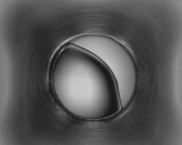 X0000086770880200704130834