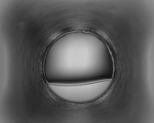 X0000086770881200704130834