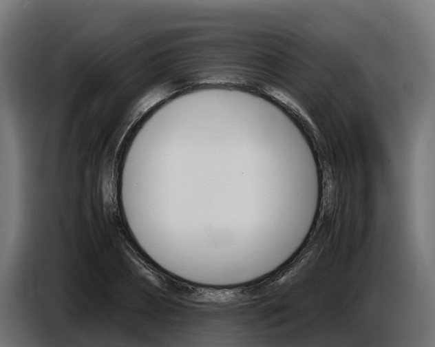 X0000086770882200704130834