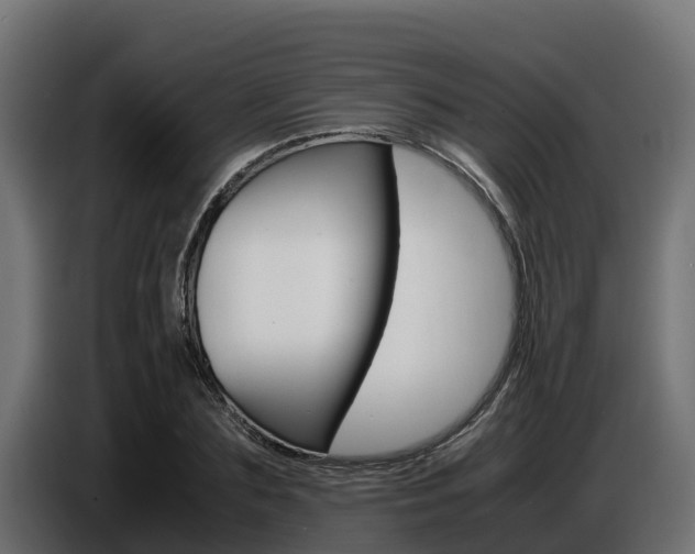 X0000086770883200704130834