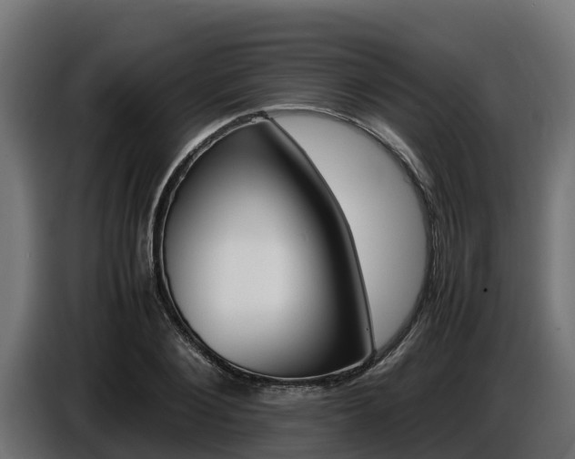 X0000086770884200704130834