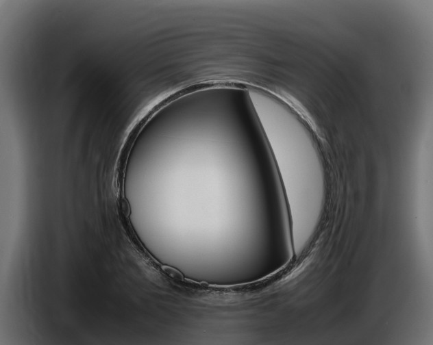X0000086770885200704130834