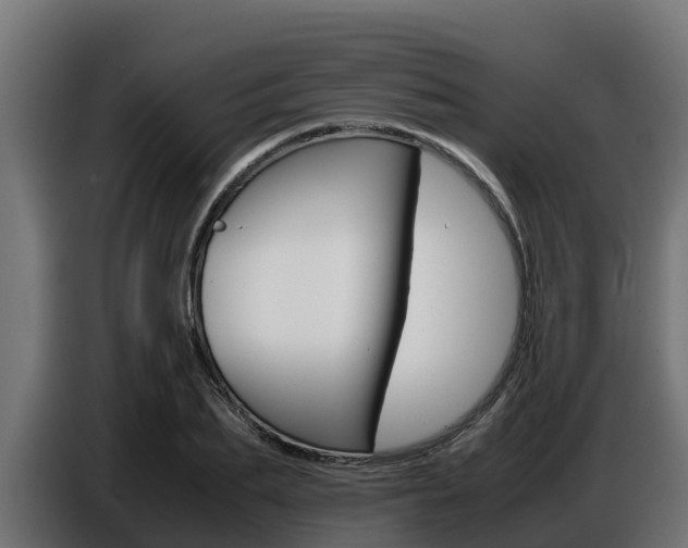 X0000086770887200704130834
