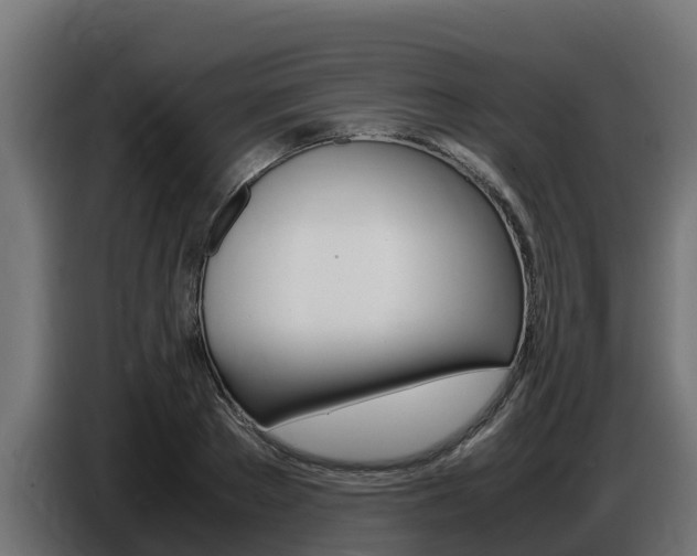X0000086770889200704130834