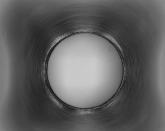 X0000086770890200704130834