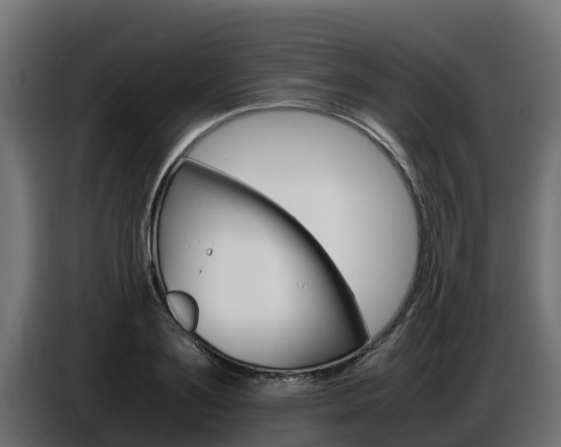 X0000086770891200704130834