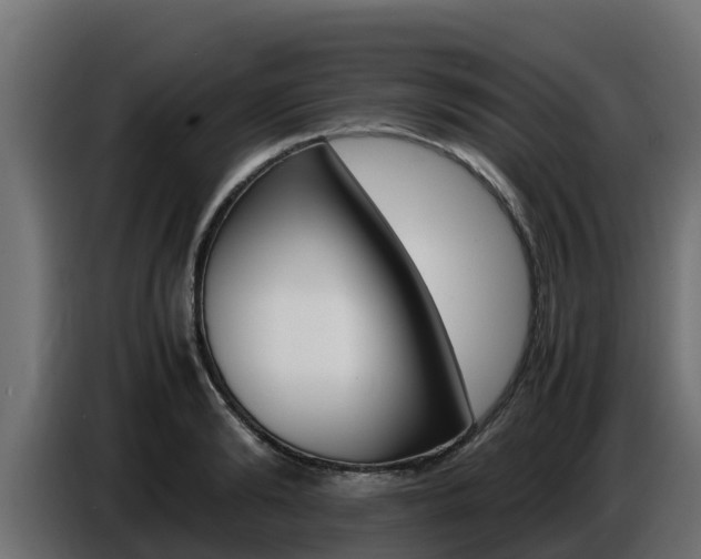 X0000086770894200704130834