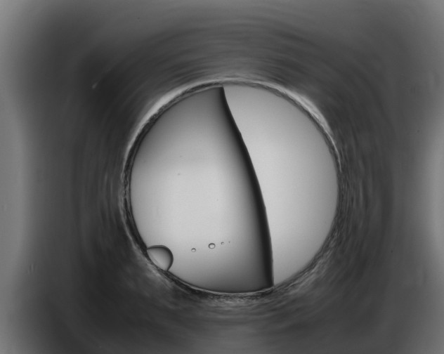 X0000086770895200704130834