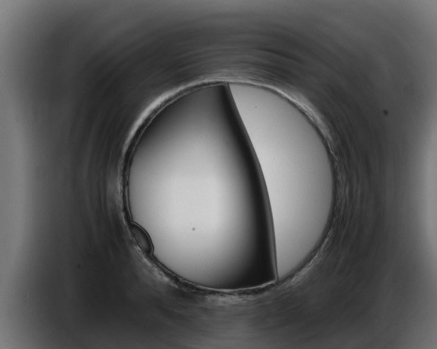 X0000086770896200704130834