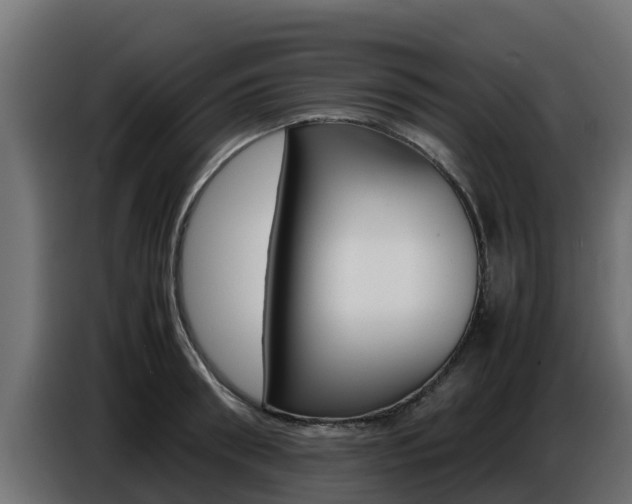 X0000086770898200704130834