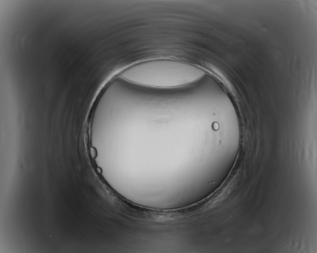 X0000086770899200704130834